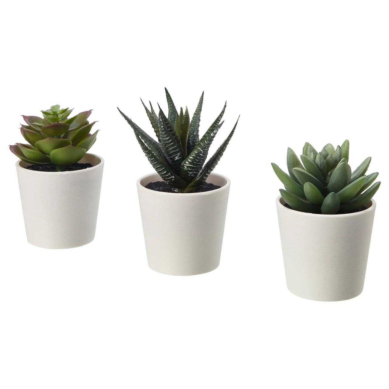 Outdoor Décor
